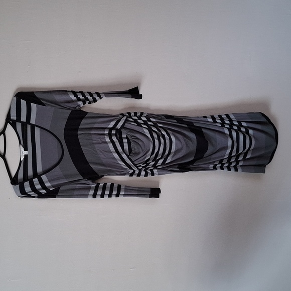 Ripe Maternity & Nursing Dress - Picture 1 of 3